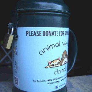 Animal Welfare Dahab Donation