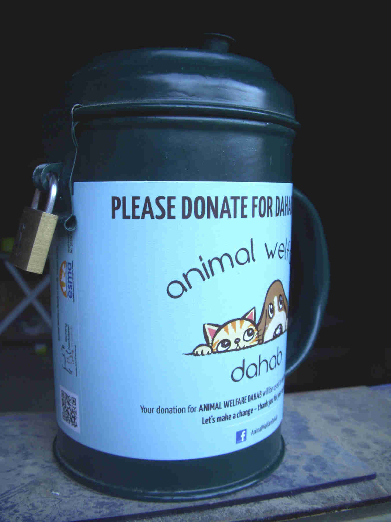 Animal Welfare Dahab Donation