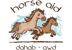 Horse Aid Dahab